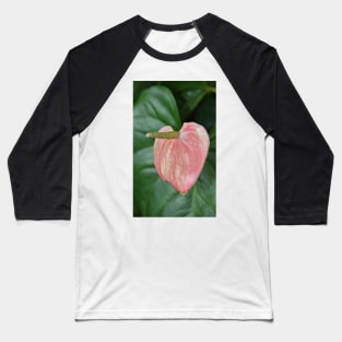 Anthurium Baseball T-Shirt